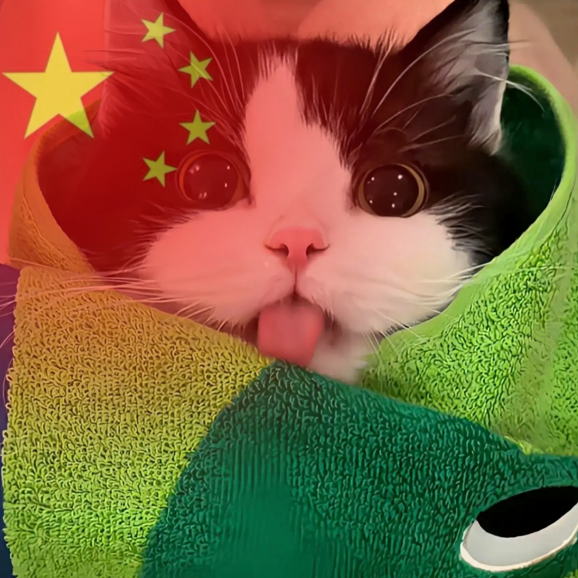 喵桑
